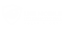 LNE Mobile Logo
